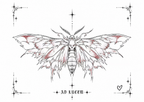 Toward The Light - Moth
