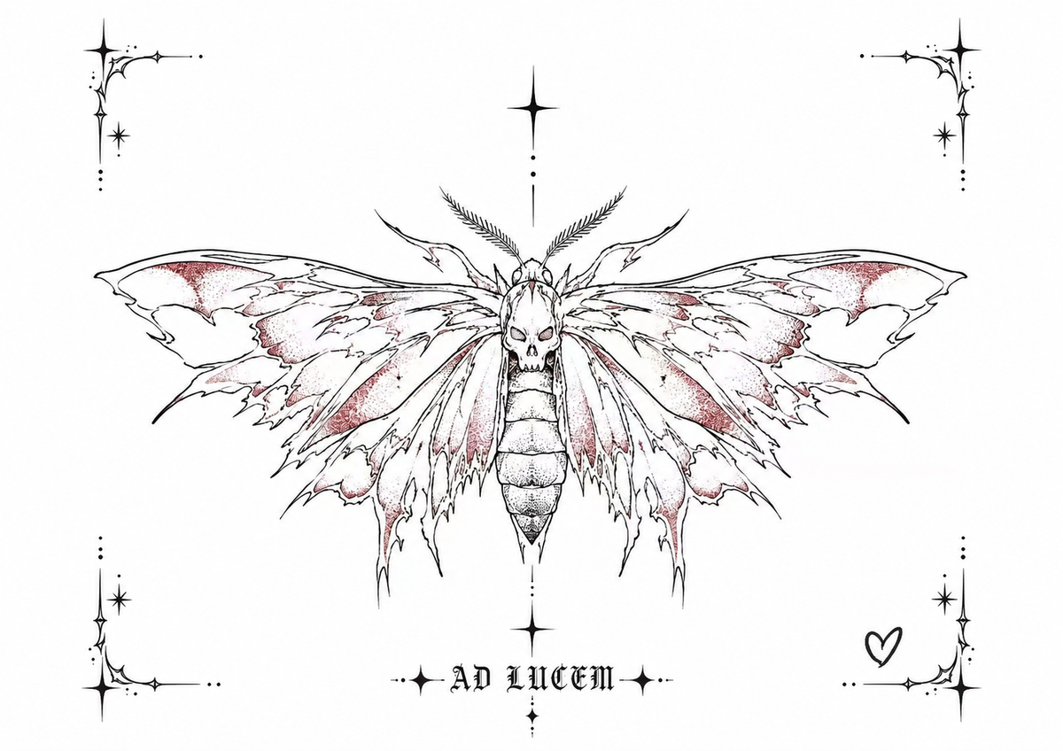 Toward The Light - Moth
