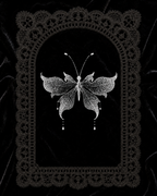 Metamoprhosis - Butterfly