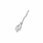 Broom