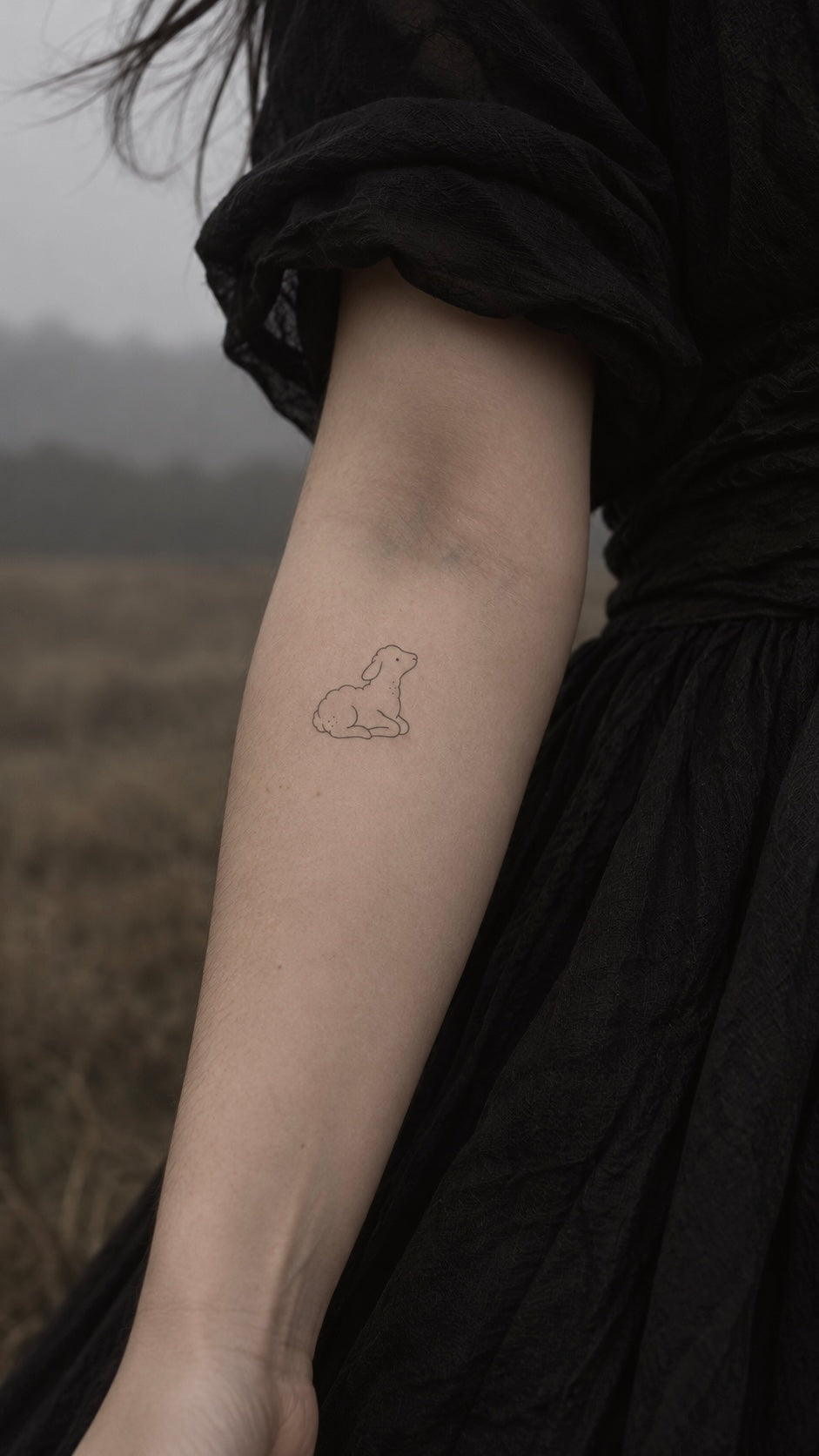 Little Lamb